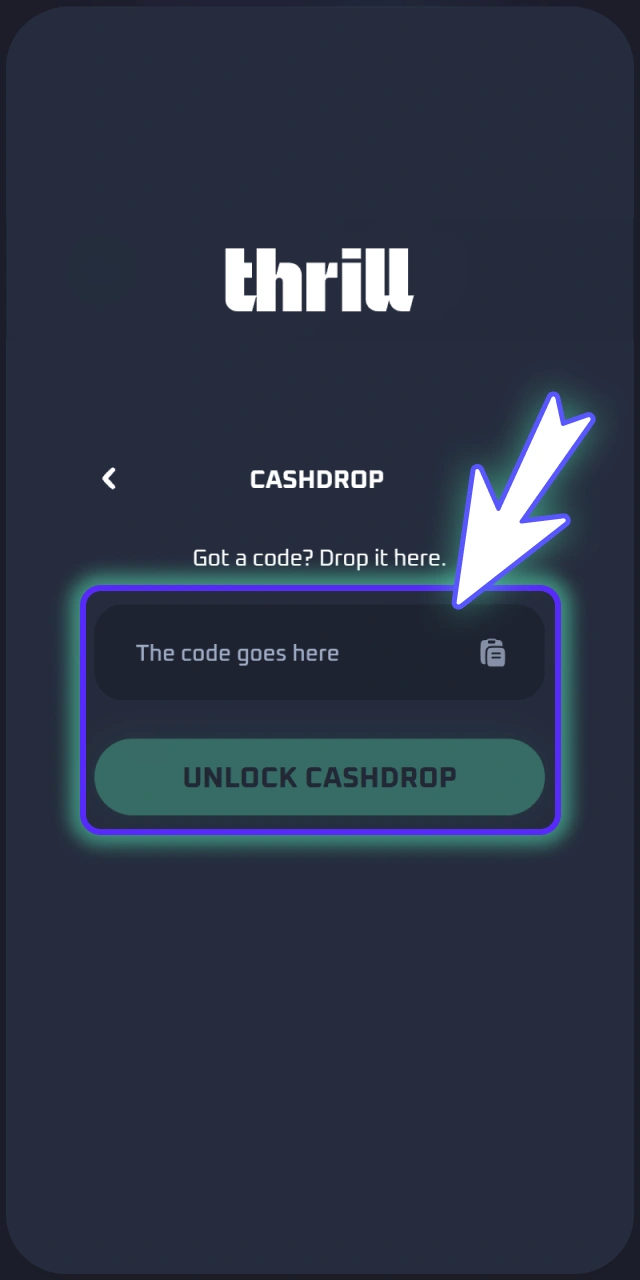 Input your valid promo code inside official Thrill dashboard.